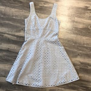 LOFT Blue and Cream Eyelet A-Line Dress